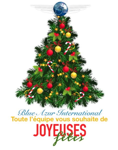 Votre Société Blue Azur International vous souhaite de bonnes fêtes de fin d'année